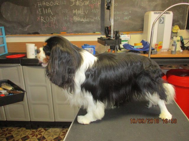 Publication : De La Maison D'herbouville Auteur : Legois Matilde