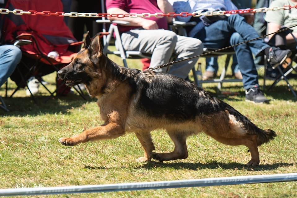 Publication : Du Montgison