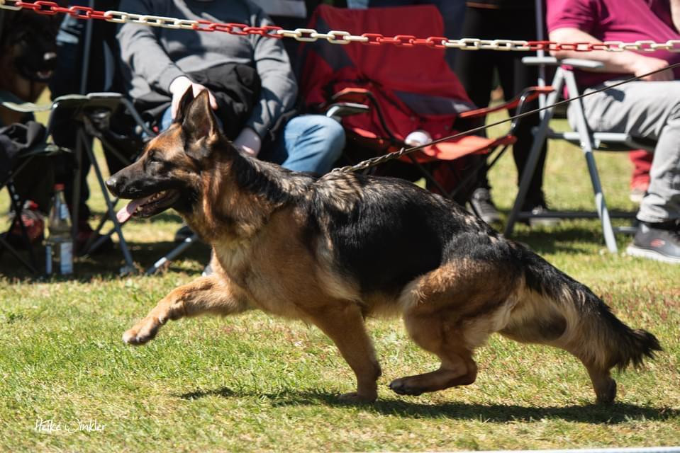 Publication : Du Montgison