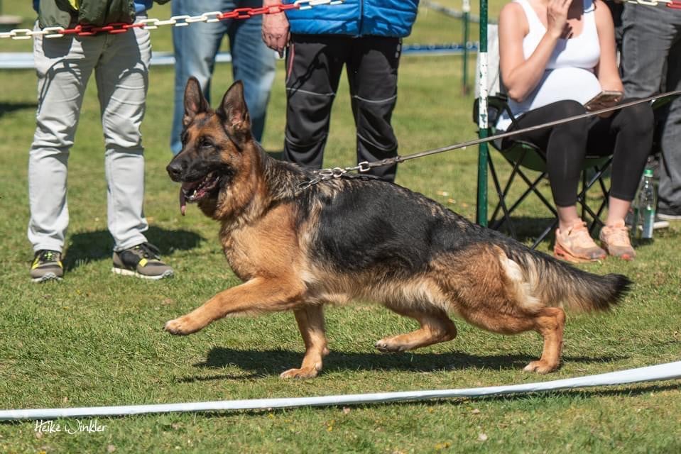 Publication : Du Montgison