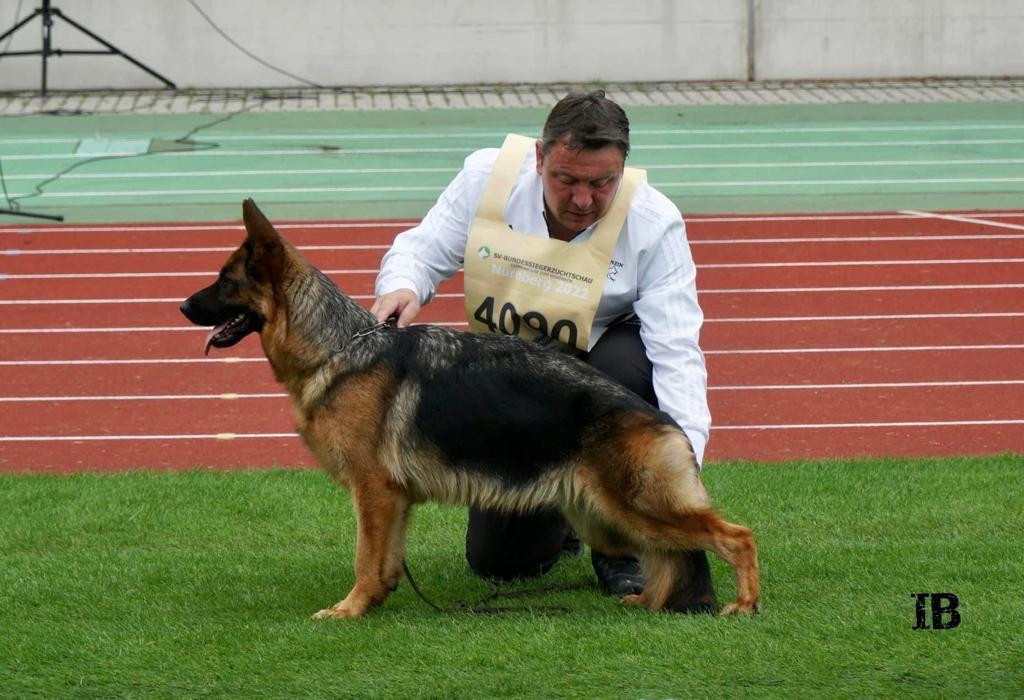 Samba du val d'Anzin