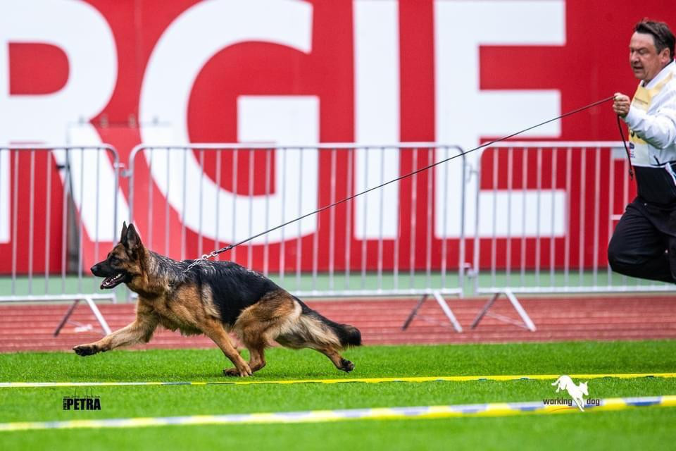 Samba du val d'Anzin