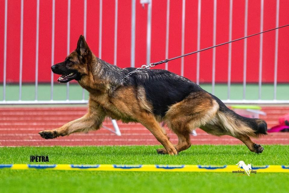 Samba du val d'Anzin