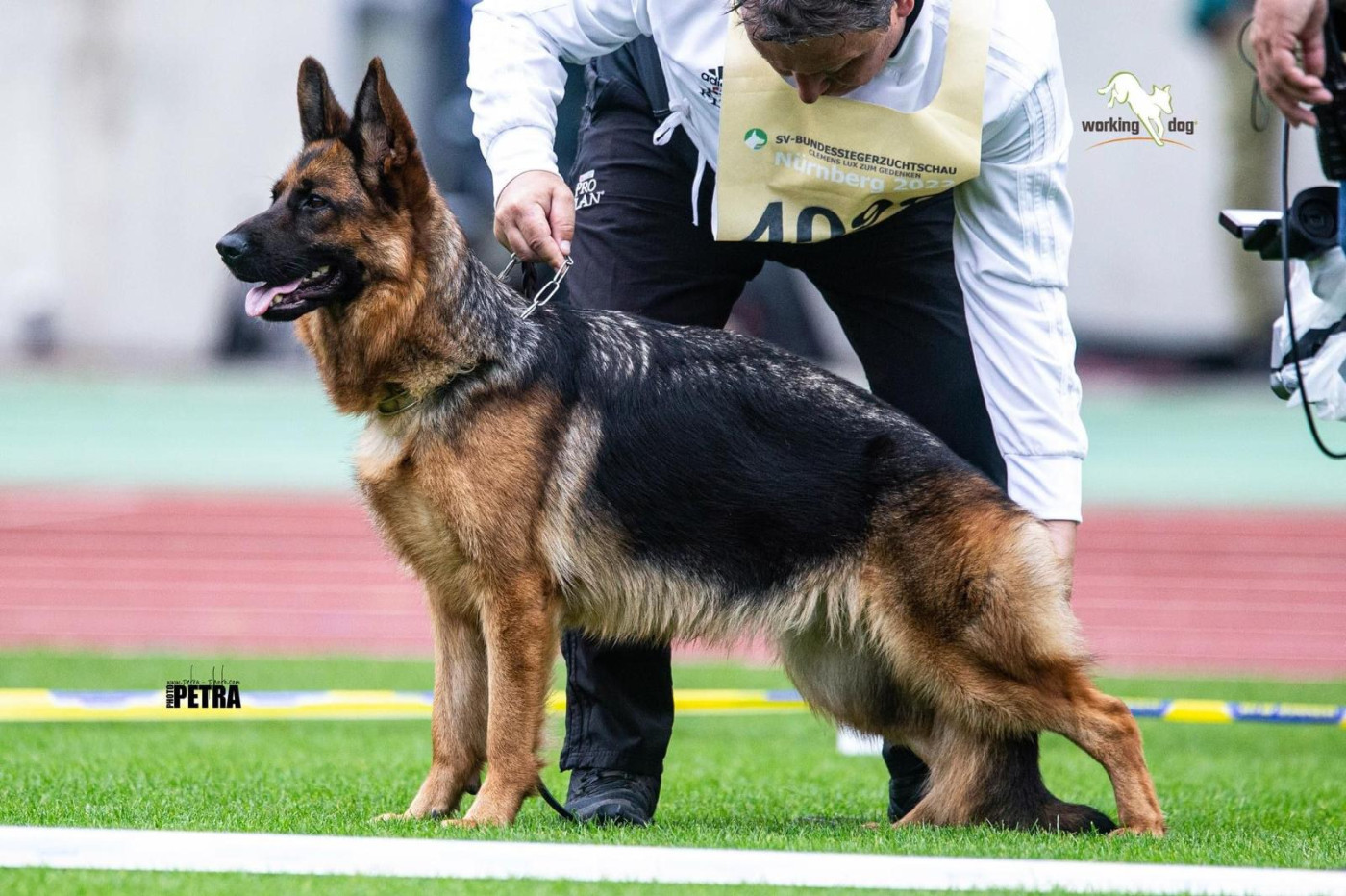 Samba du val d'Anzin