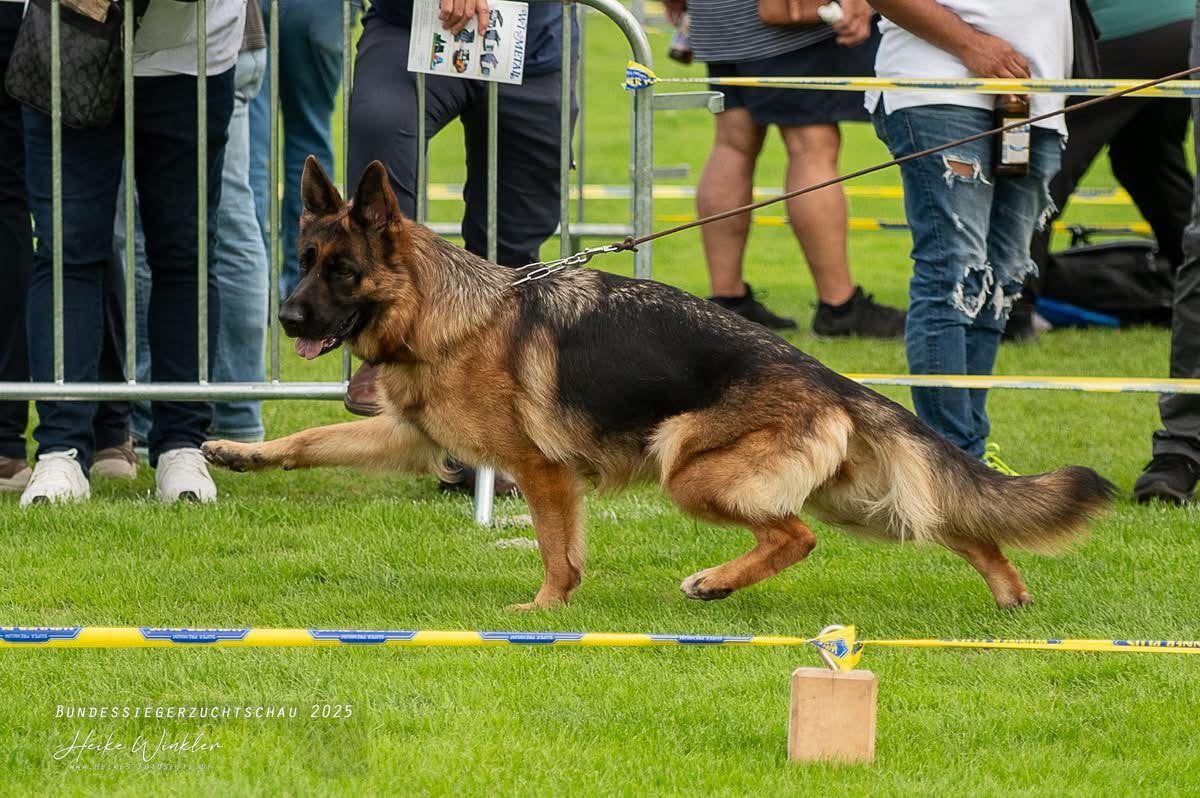 CH. Tana du val d'Anzin