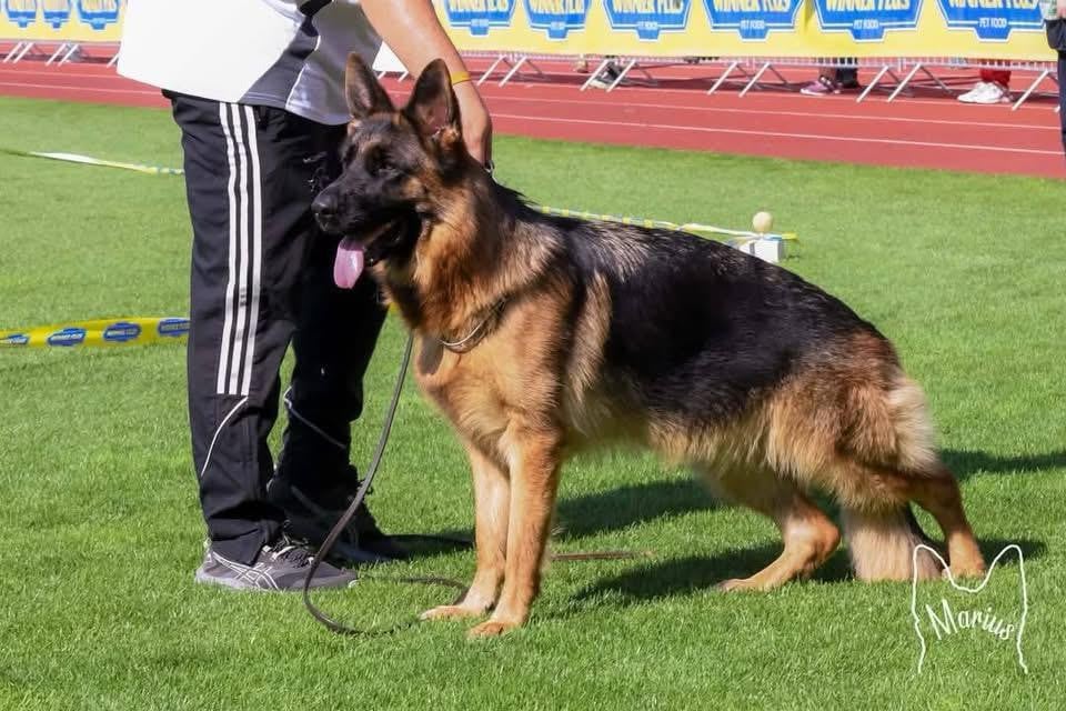 CH. Tana du val d'Anzin