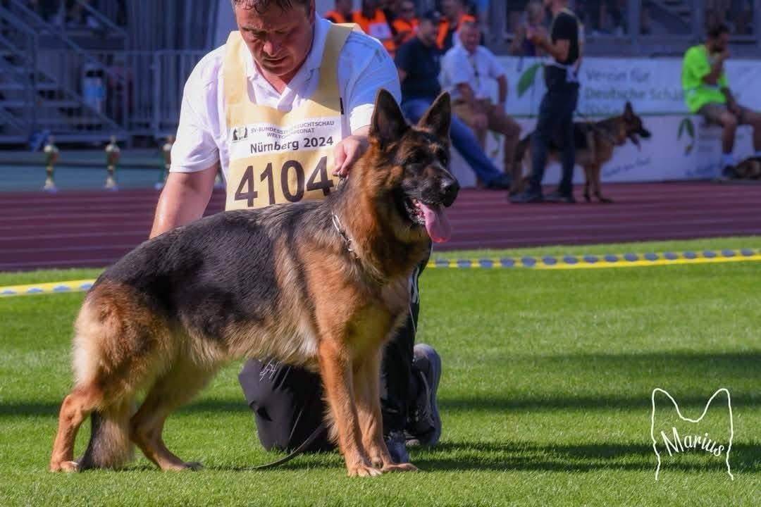 CH. Tana du val d'Anzin