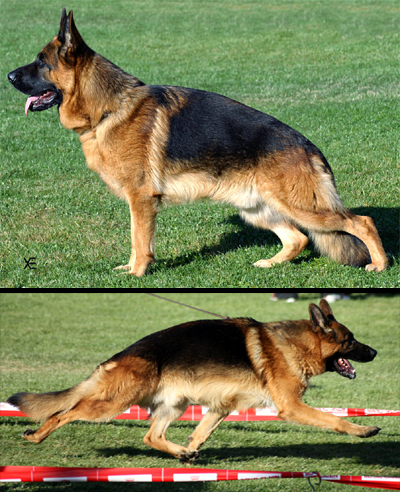 Publication : Du Montgison