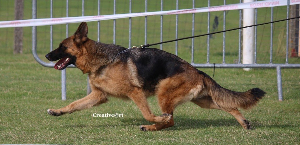CH. Je suis charlie du val d'Anzin