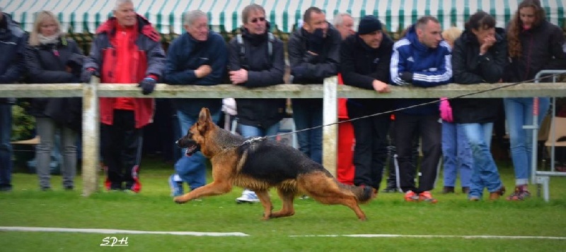 CH. Je suis charlie du val d'Anzin