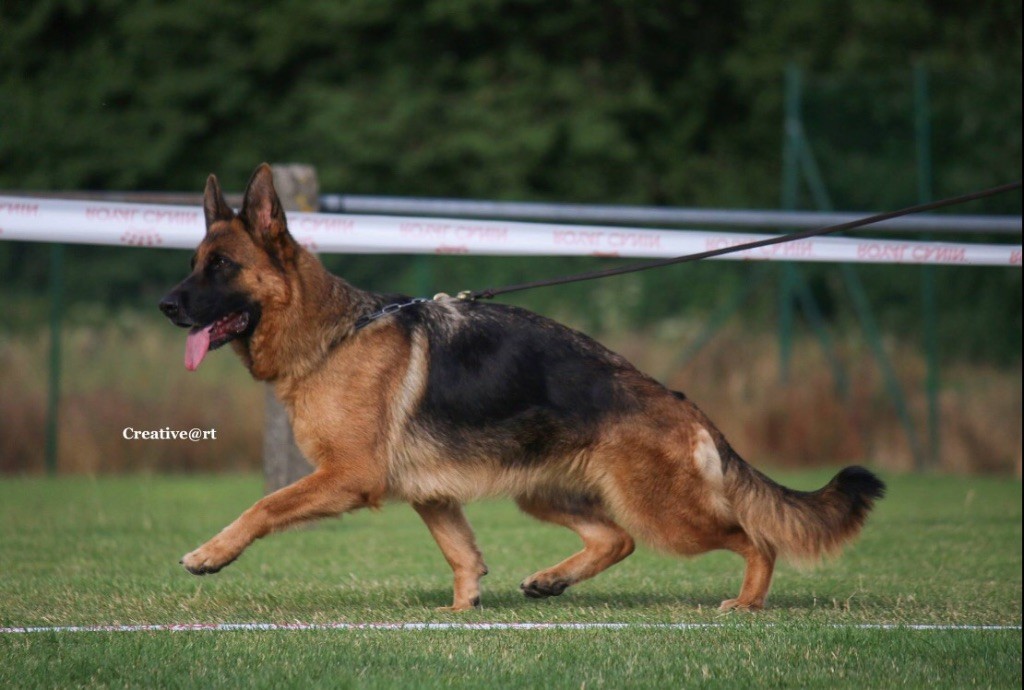 CH. Je suis charlie du val d'Anzin