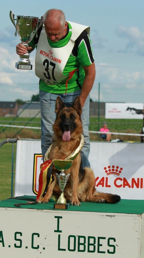 CH. Je suis charlie du val d'Anzin - VA1 Championne classe Travail