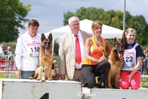 CH. Giny du val d'Anzin - Championne classe Jeune