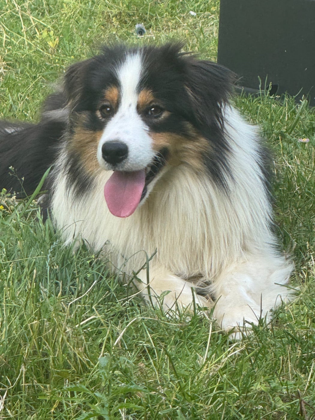 Publication : Du Pic De Nore