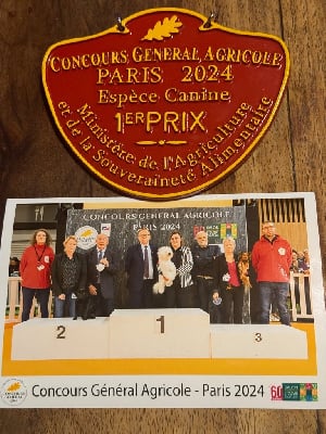 Du Pic De Nore