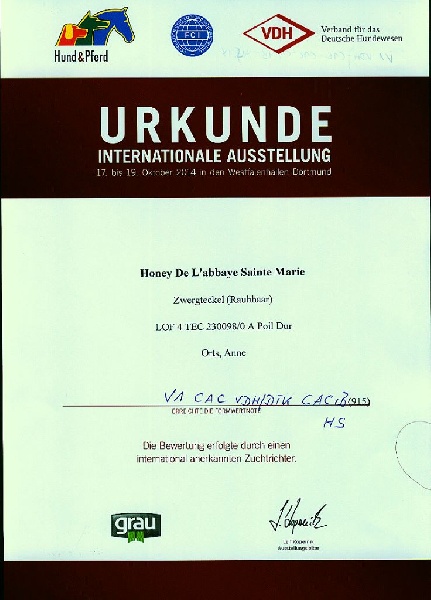 Honey De l'abbaye sainte marie - 1° Exc, CAC et CACIB
