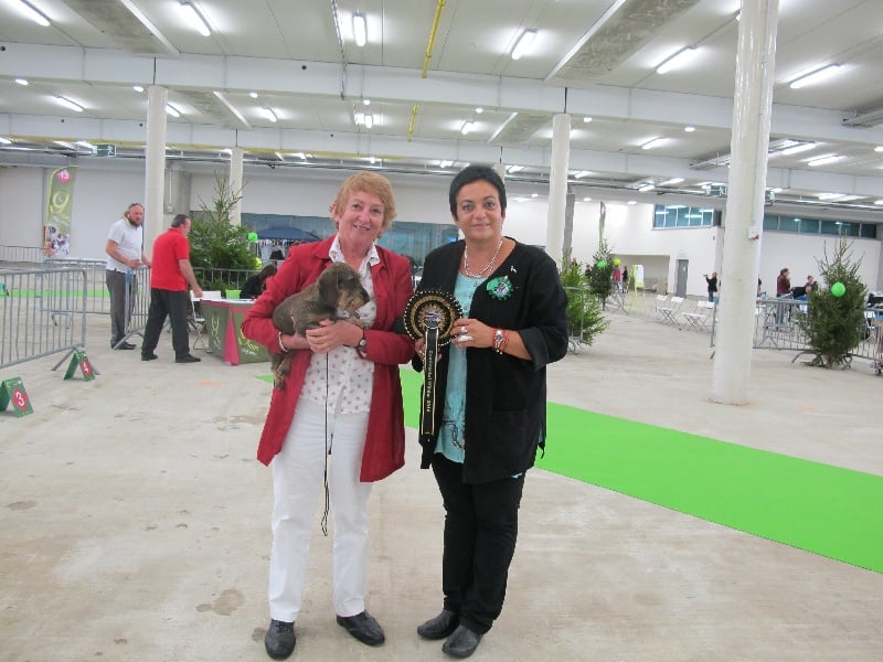 Honey De l'abbaye sainte marie - 1° Exc, CAC et BOB