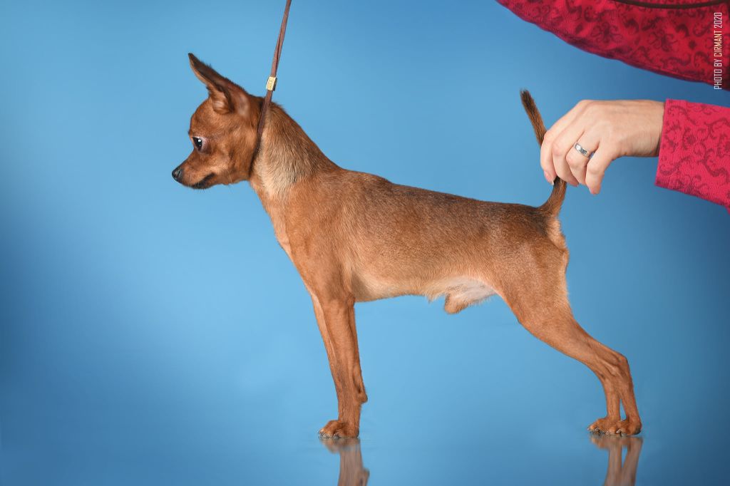 Publication : By Bidule Auteur : Cirmant