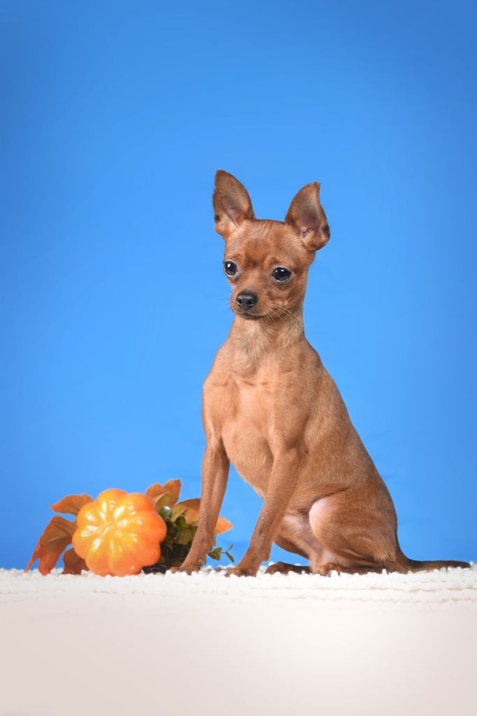 Publication : By Bidule Auteur : Cirmant