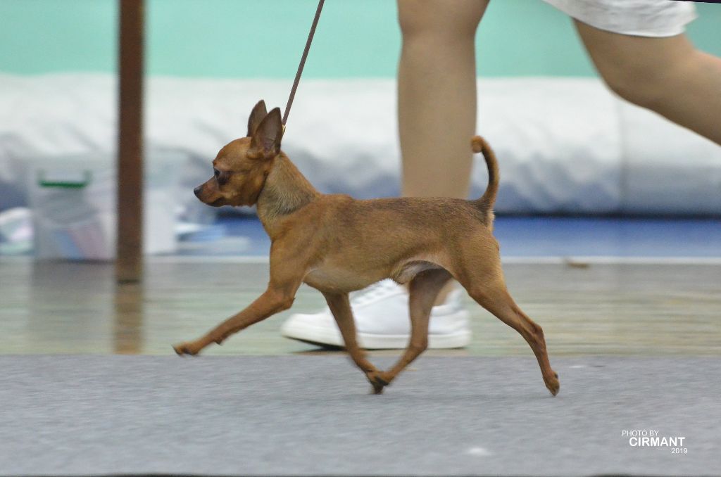 Publication : By Bidule Auteur : Cirmant