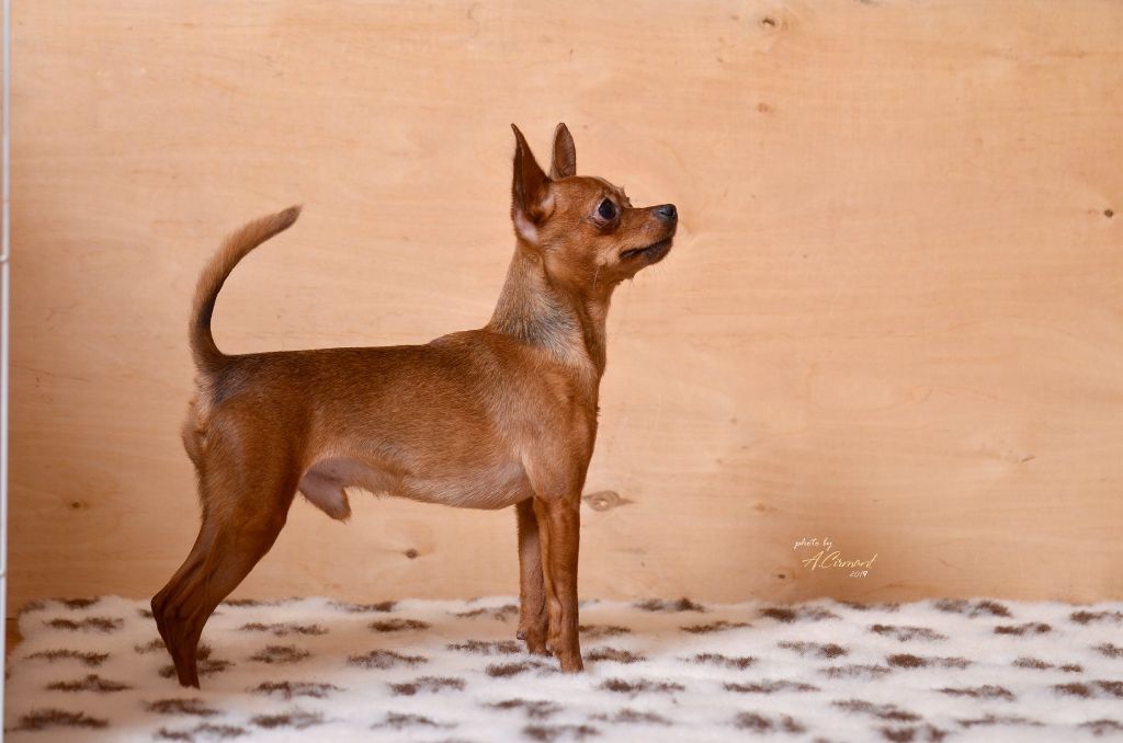 Publication : By Bidule Auteur : Cirmant