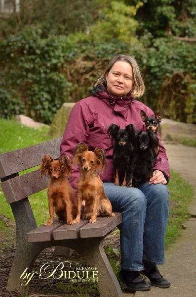 Accueil Elevage By Bidule Eleveur De Chiens Russkiy Toy