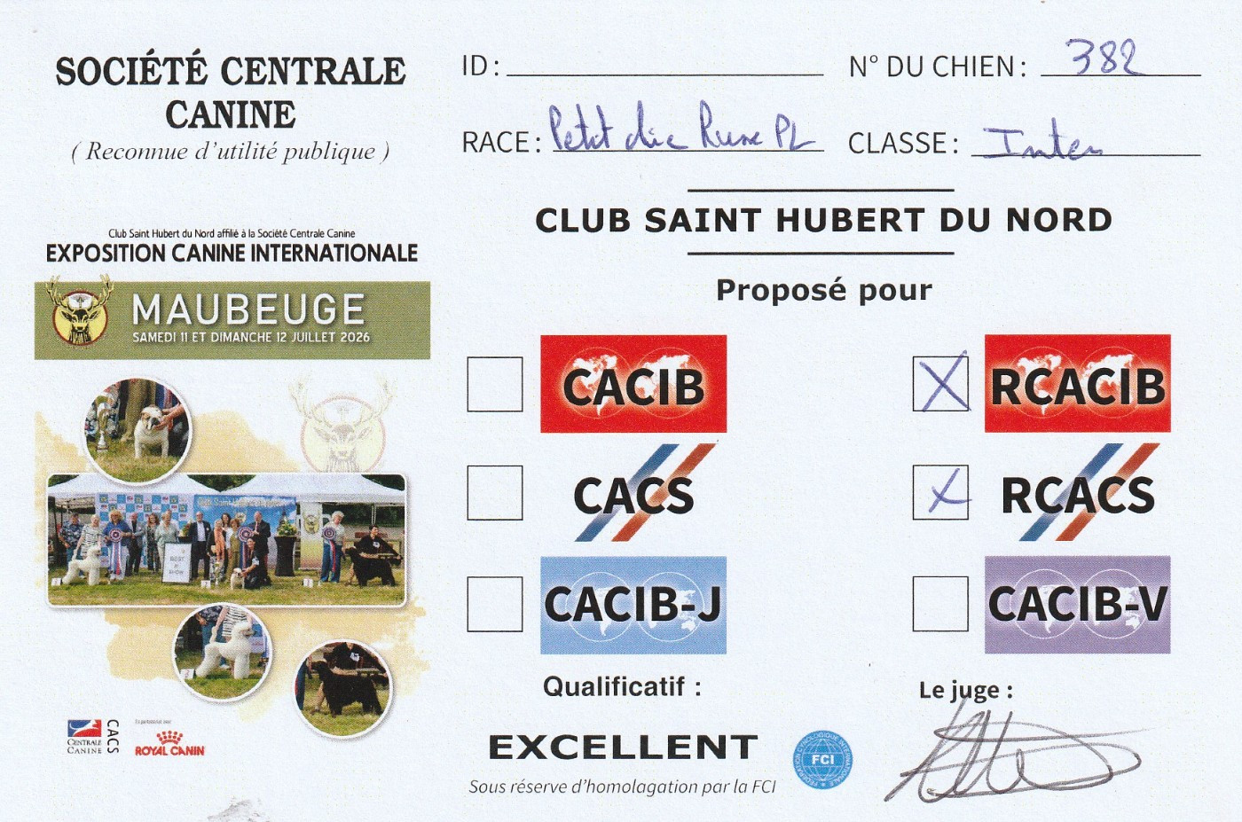 Virgynia stella dite valeska au Royaume D'ultra - 1er excellent, RCACS, RCACIB