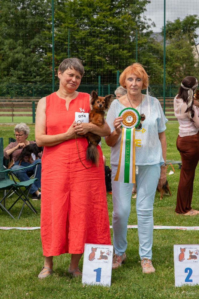 CH. Malenkiy prinz dit mars By Bidule - 1er excellent, CAC-V, Meilleur Vétéran, Meilleur Vétéran de l'exposition