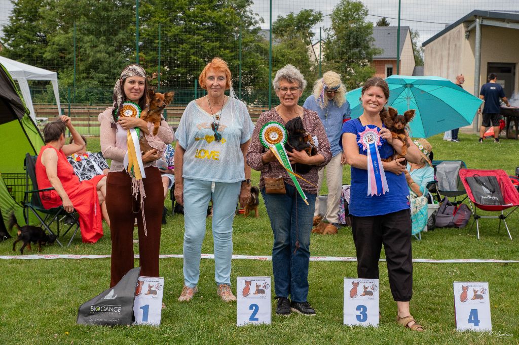 CH. U too By Bidule - 2ème excellent en classe jeune