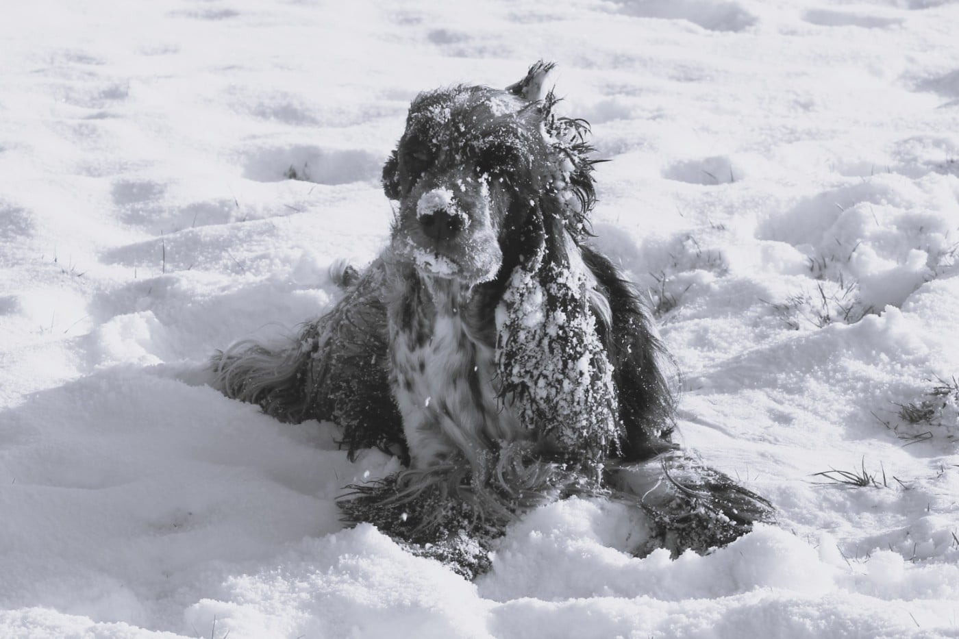 Publication : Du Pré Aux Etocs Auteur : Thill Jennifer