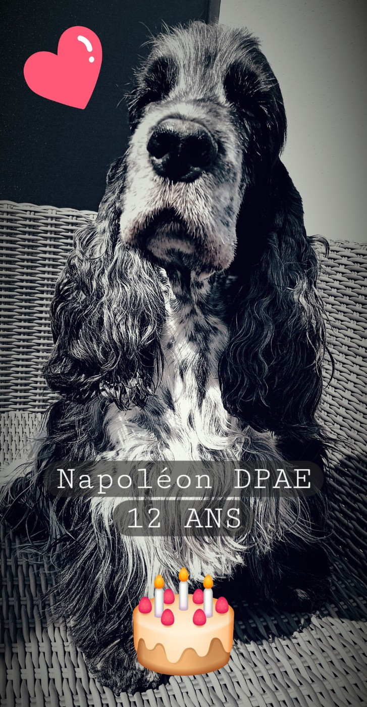 TR. CH. Napoléon Du Pré Aux Etocs