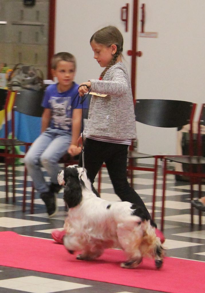 Engie (Sans Affixe) - Classe Vétéran - 1er Excellent - Meilleur Vétéran