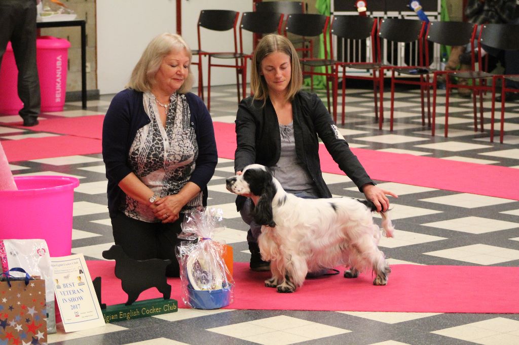 Engie (Sans Affixe) - Classe Vétéran - 1er Excellent - Meilleur Vétéran