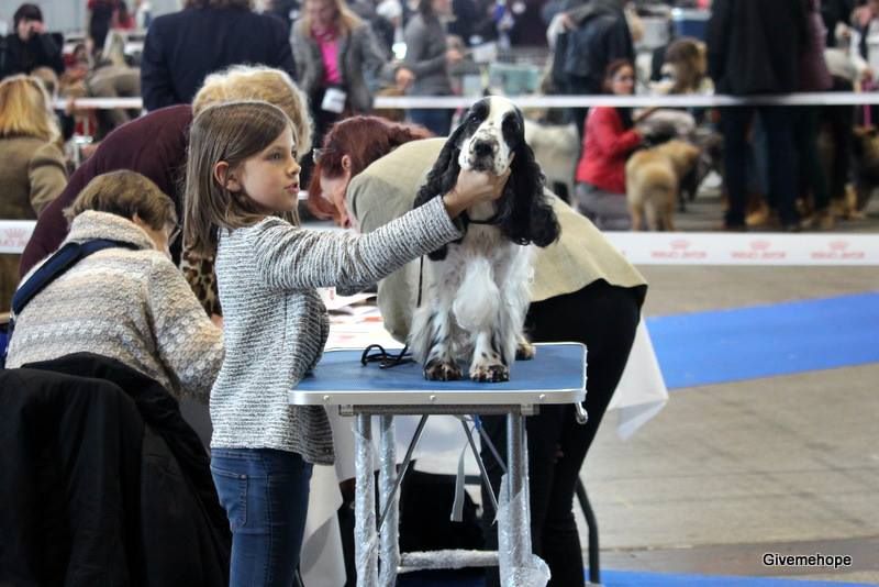 Engie (Sans Affixe) - Classe Vétéran - 1er Excellent