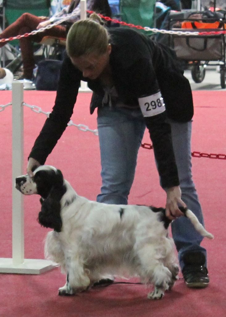 Engie (Sans Affixe) - Classe Vétéran - 1er Excellent - Meilleur Vétéran