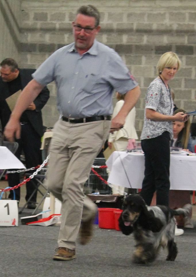 CH. Paco Du Pré Aux Etocs - Classe Jeune - 1er Excellent