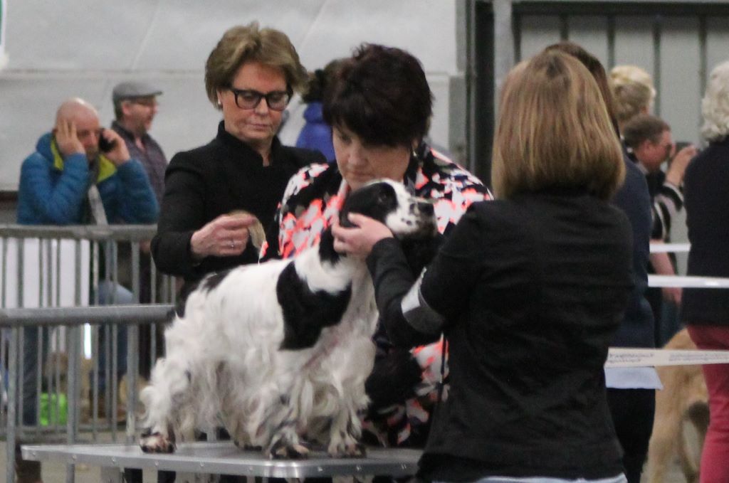 Engie (Sans Affixe) - Classe Vétéran - 1er Excellent - Meilleur Vétéran