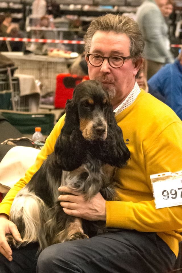 CH. Paco Du Pré Aux Etocs - Classe Jeune - 2ème Excellent