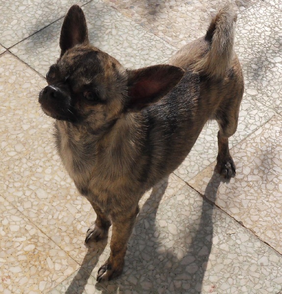 Publication : Voxel Ux