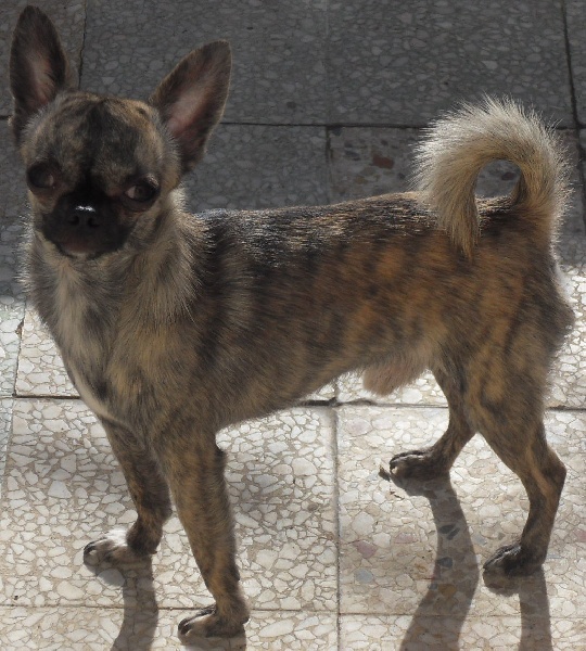 Publication : Voxel Ux