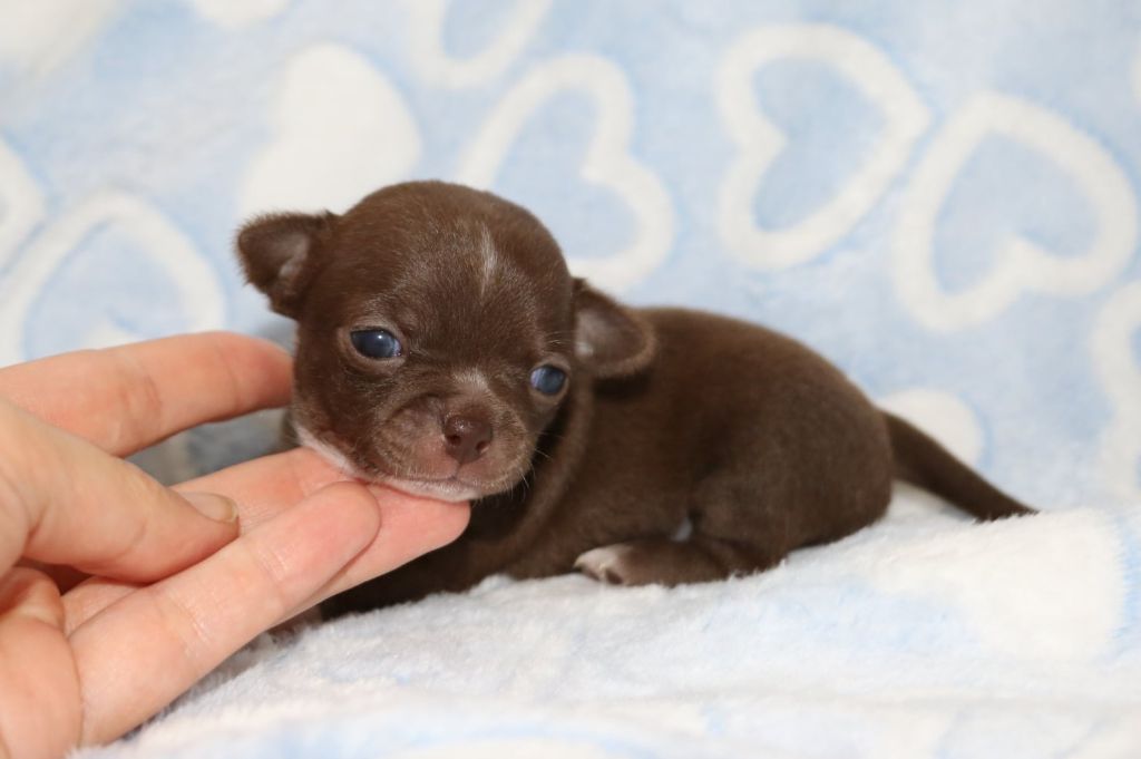 Aria renommée AGLAÉ