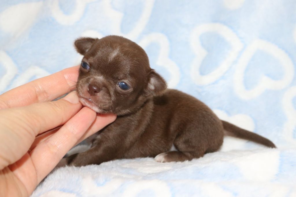 Aria renommée AGLAÉ