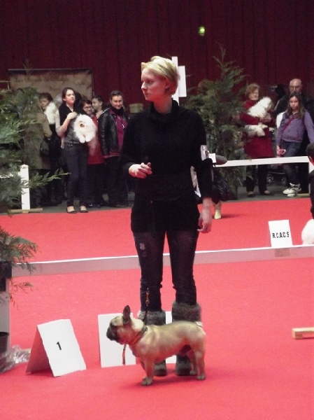 Bullbumpkin's Fan club - 2 ème très bon