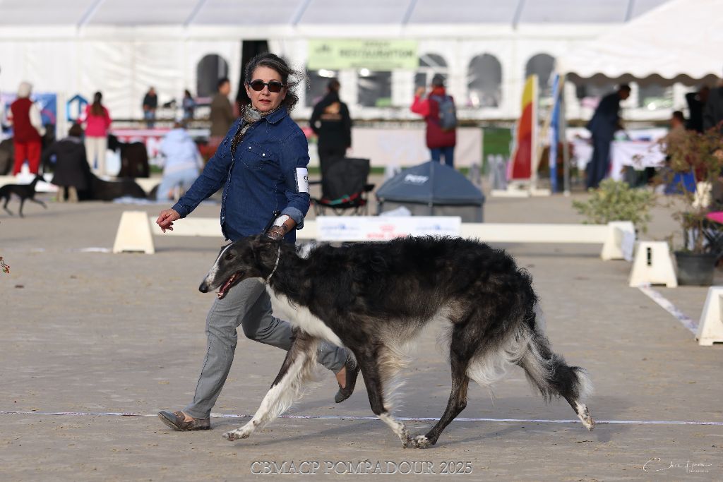 Vadim velikyi voin Des Svoras De La Centauresse