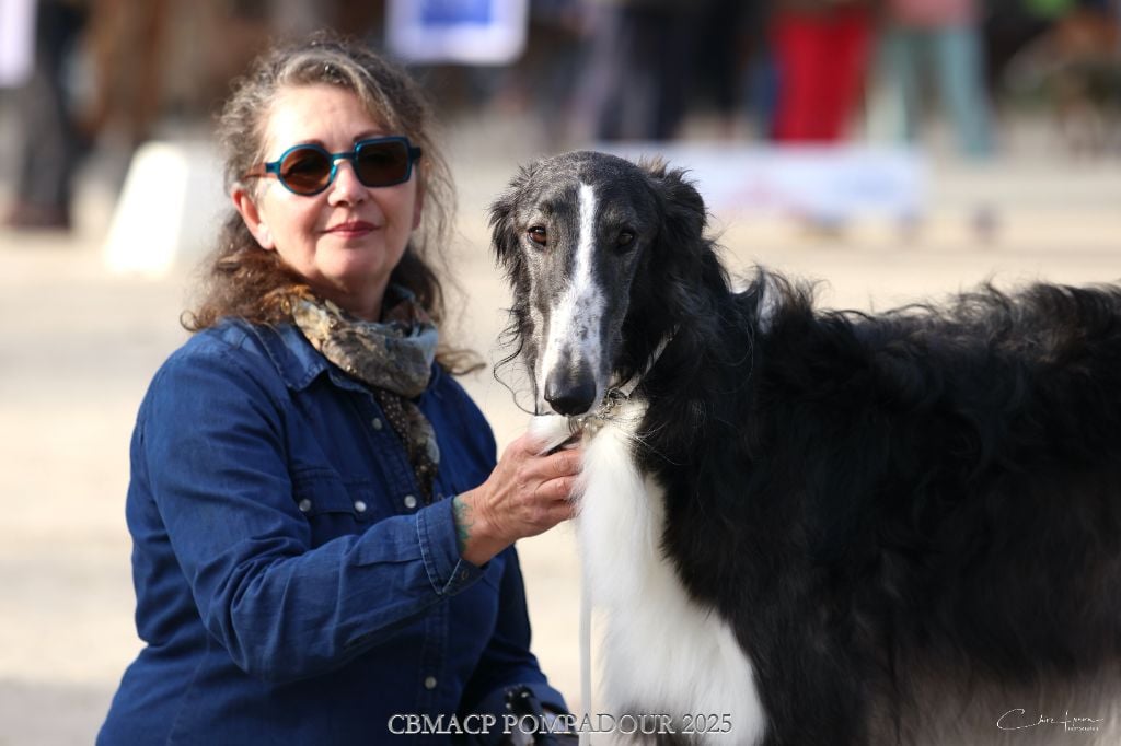 Vadim velikyi voin Des Svoras De La Centauresse
