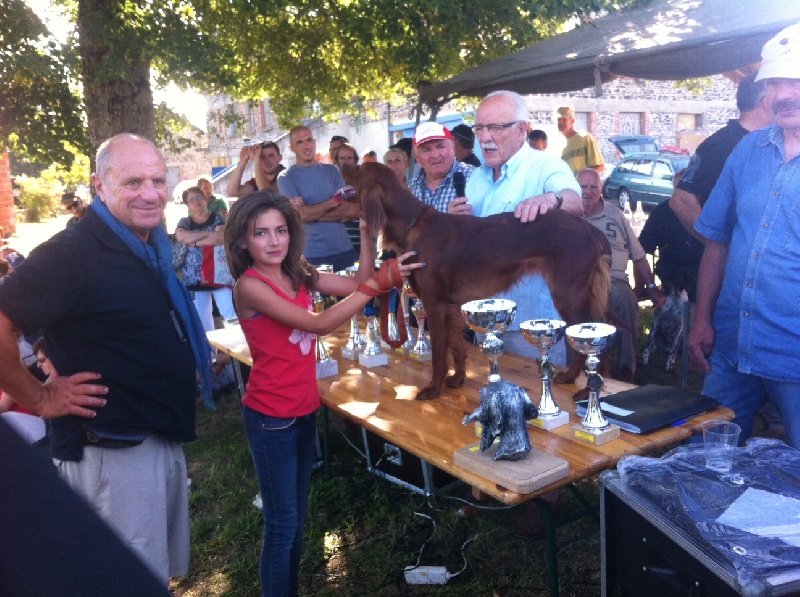 Guimauve De La Combe Des Anges - 1ER