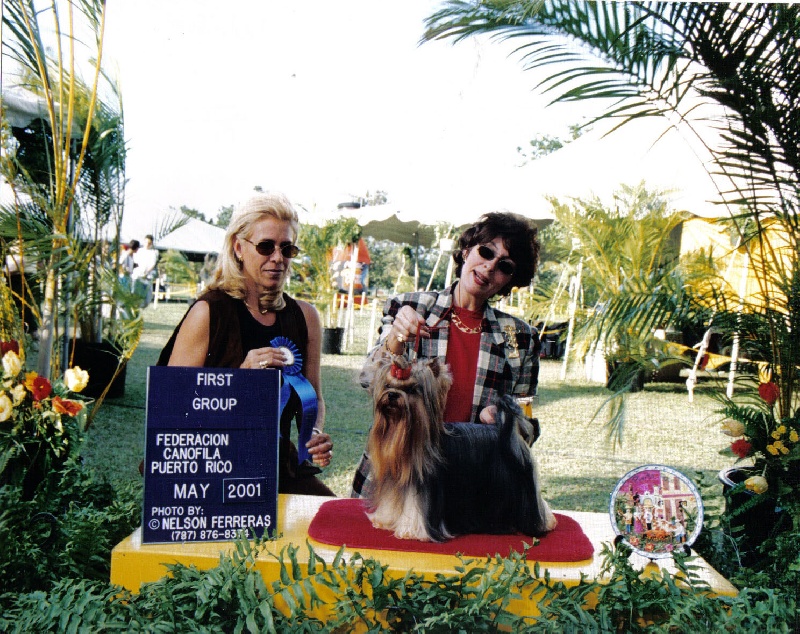 Publication : Mardel's