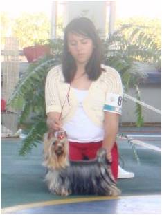 Publication : Mardel's