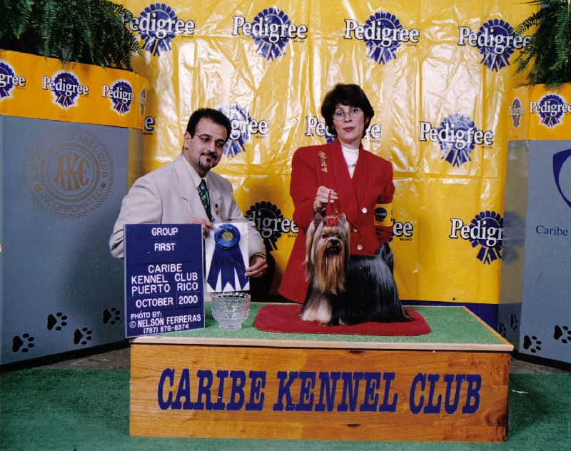 Publication : Mardel's