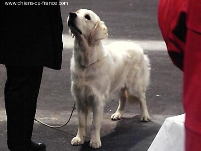 A sweet music of lanson fields - 1 ER EXCELLENT